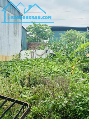 Bất động sản tại Bắc Ninh - ảnh 1