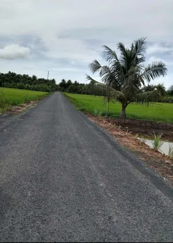 Bất động sản tại Cần Thơ - ảnh 1