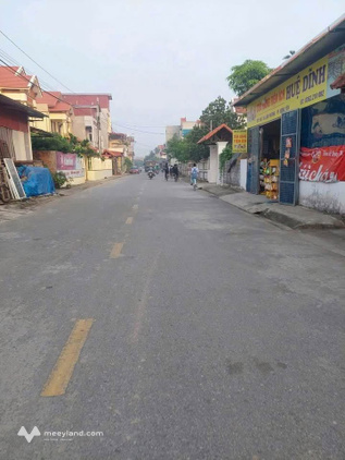 Bất động sản tại Hưng Yên - ảnh 1