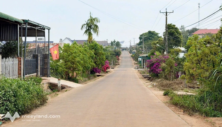 Bất động sản tại Lâm Đồng - ảnh 1