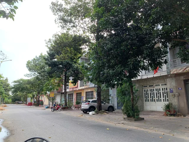 Bất động sản tại Bà Rịa - Vũng Tàu - ảnh 1