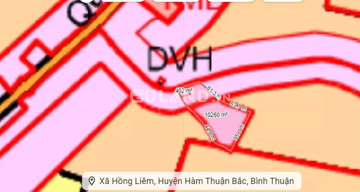 Bất động sản tại Lâm Đồng - ảnh 1