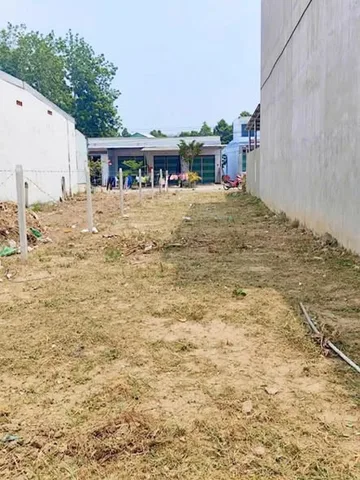 Bất động sản tại Bình Dương - ảnh 1