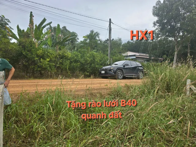 Bất động sản tại Tây Ninh - ảnh 1