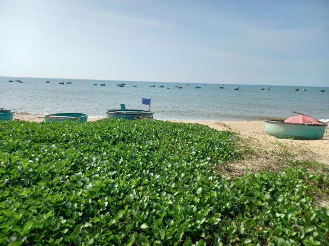 Bất động sản tại Lâm Đồng - ảnh 1