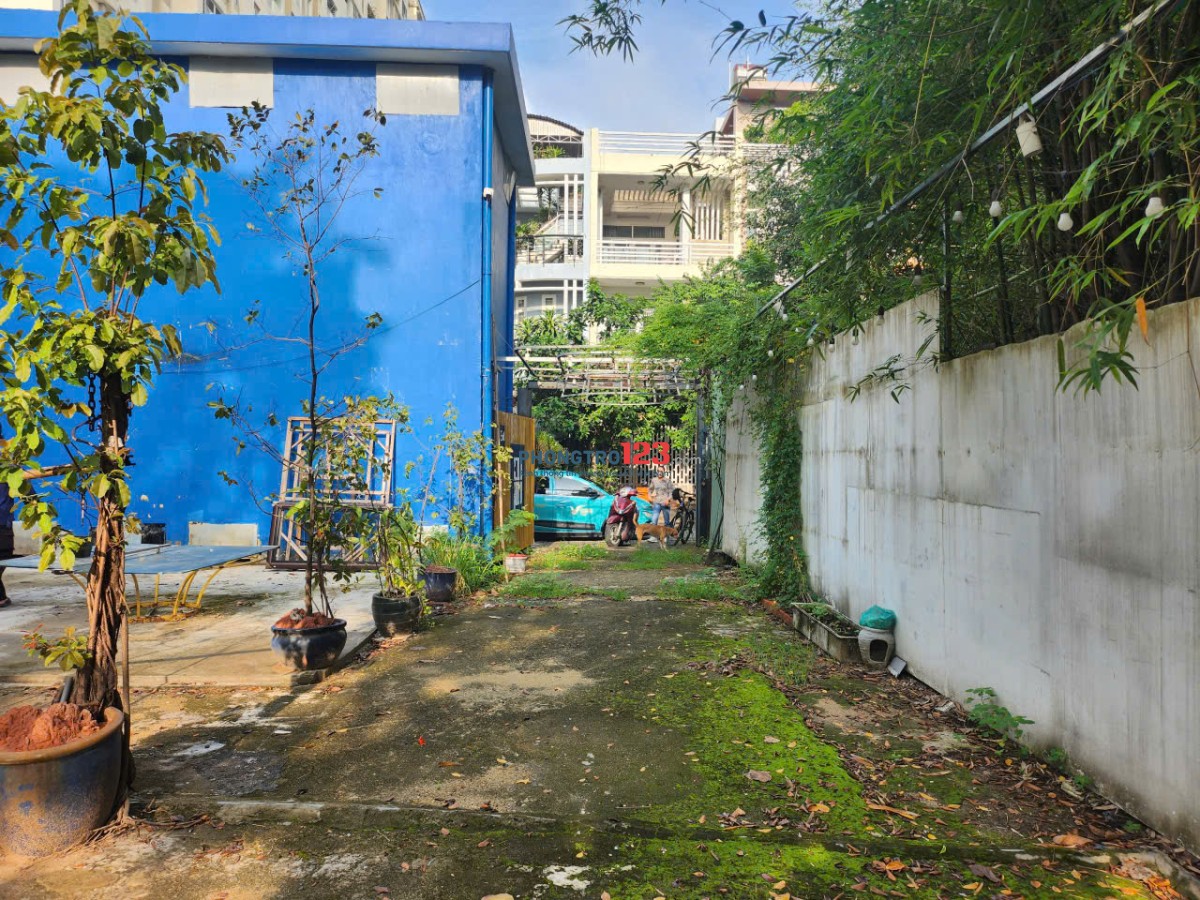 Bất động sản tại TP. Hồ Chí Minh - ảnh 1
