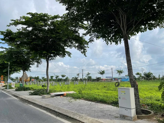 Bất động sản tại Long An - ảnh 3