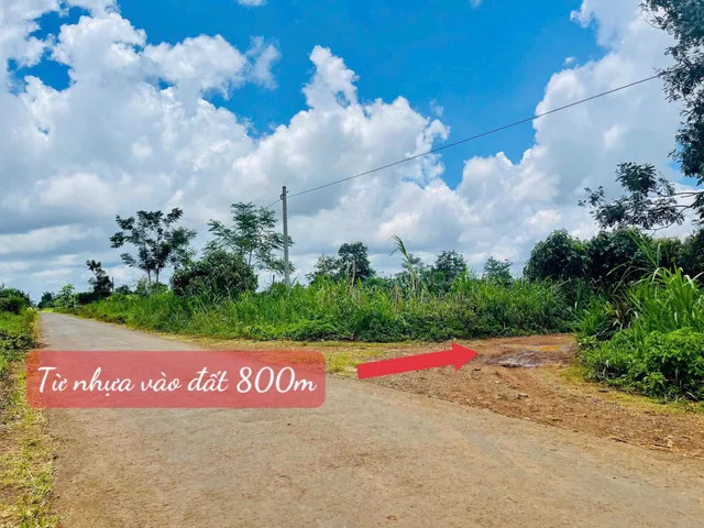 Bất động sản tại Đắk Lắk - ảnh 1