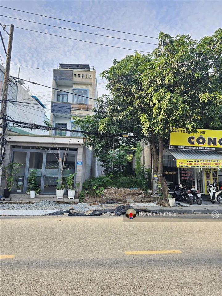 Bất động sản tại Bình Dương - ảnh 1
