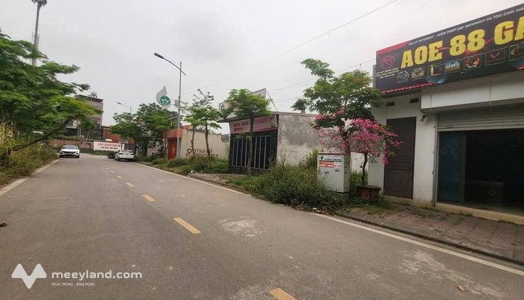 Bất động sản tại Vĩnh Phúc - ảnh 1