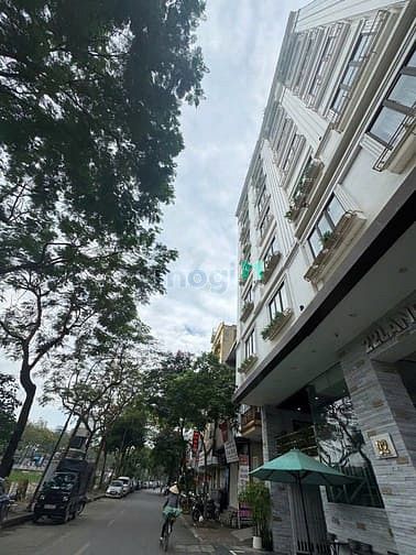 Nhà riêng tại Cầu Giấy, Hà Nội - ảnh 3