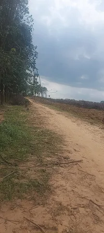 Bất động sản tại Đồng Nai - ảnh 1