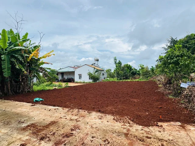 Bất động sản tại Đắk Lắk - ảnh 1