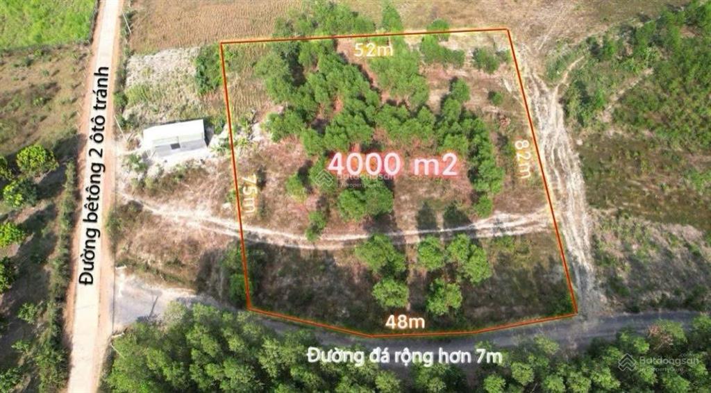 Bất động sản tại Khánh Hòa - ảnh 1