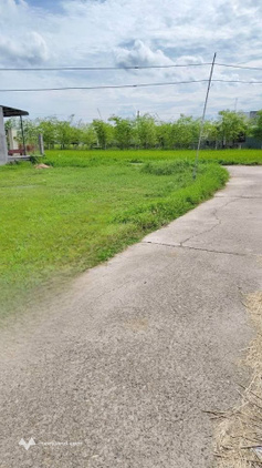 Bất động sản tại Bình Thuận - ảnh 1