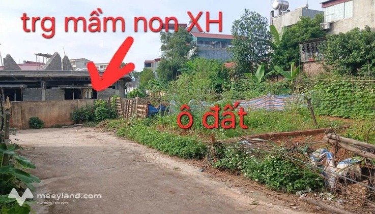 Bất động sản tại Vĩnh Phúc - ảnh 1