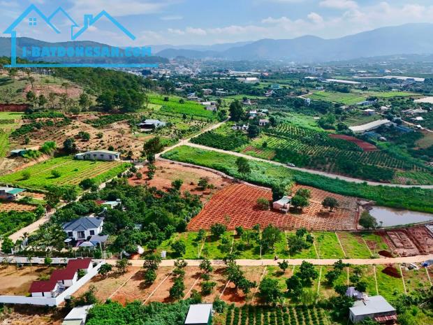 Bất động sản tại Lâm Đồng - ảnh 1