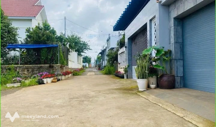 Bất động sản tại Lâm Đồng - ảnh 1