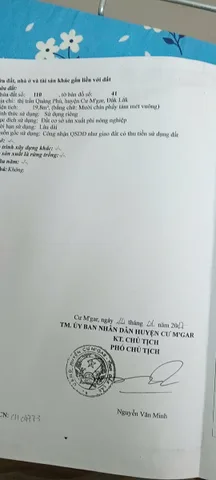 Bất động sản tại Đắk Lắk - ảnh 1