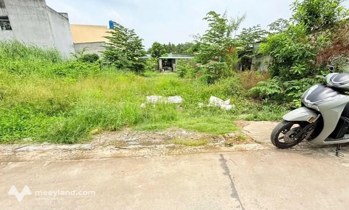 Bất động sản tại Long An - ảnh 1