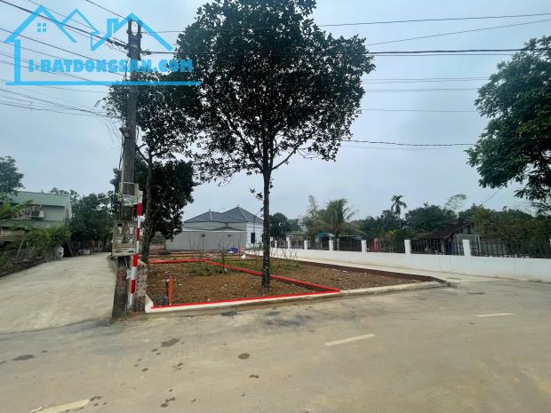 Bất động sản tại Hải Phòng - ảnh 1