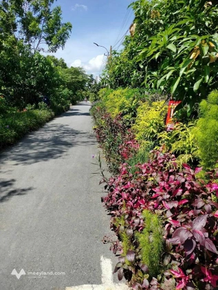 Bất động sản tại Đồng Tháp - ảnh 1