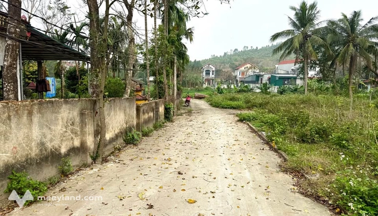 Bất động sản tại Vĩnh Phúc - ảnh 1