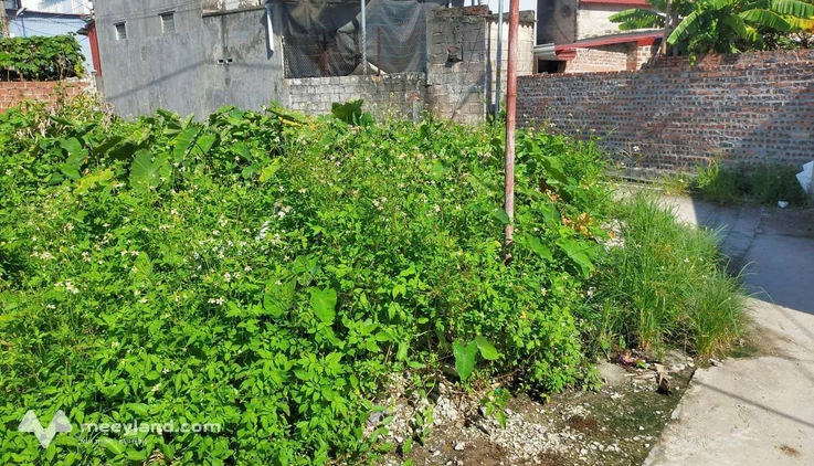 Bất động sản tại Hải Phòng - ảnh 1