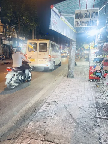 Bất động sản tại TP. Hồ Chí Minh - ảnh 1