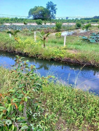 Bất động sản tại Bà Rịa - Vũng Tàu - ảnh 1