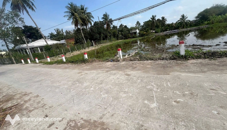 Bất động sản tại Long An - ảnh 1