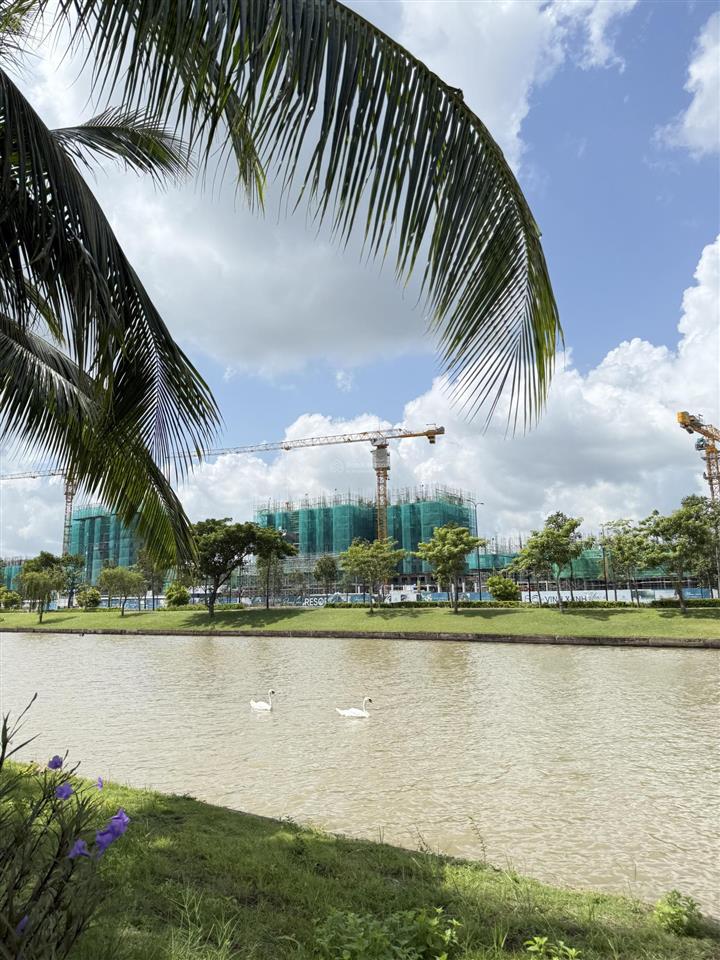 Bất động sản tại Long An - ảnh 1