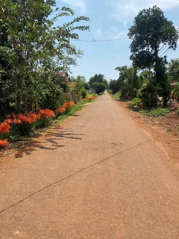 Bất động sản tại Đắk Lắk - ảnh 1