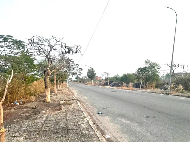 Bất động sản tại Tây Ninh - ảnh 1