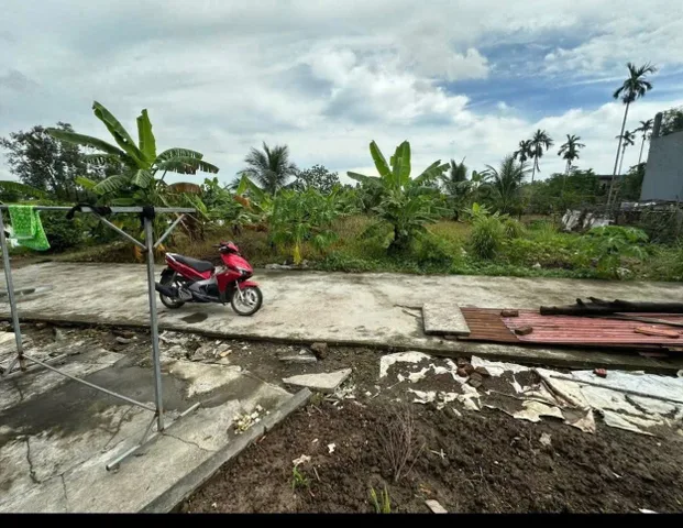 Bất động sản tại Hải Phòng - ảnh 1