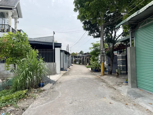 Bất động sản tại Bình Dương - ảnh 1