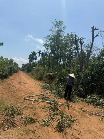 Bất động sản tại Đắk Lắk - ảnh 1