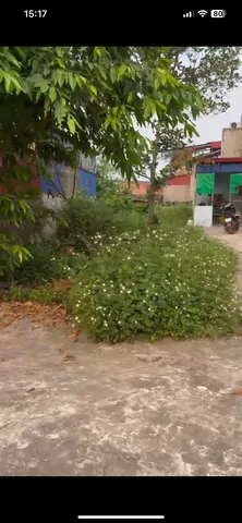 Bất động sản tại Hải Phòng - ảnh 1