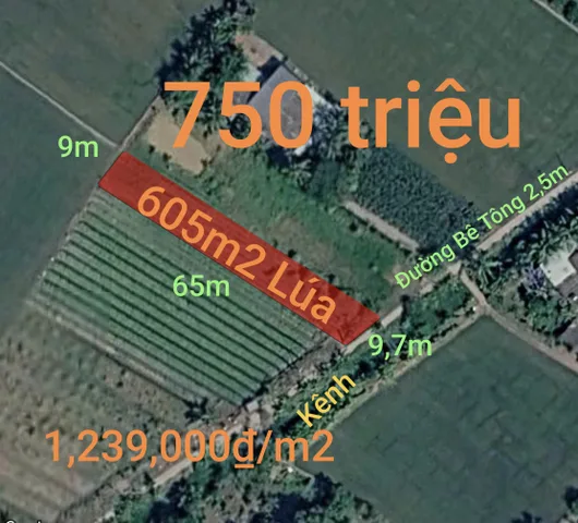 Bất động sản tại Tây Ninh - ảnh 1