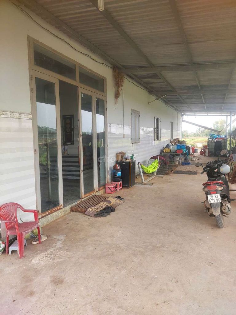 Nhà riêng tại Bình Chánh, TP. Hồ Chí Minh - ảnh 5