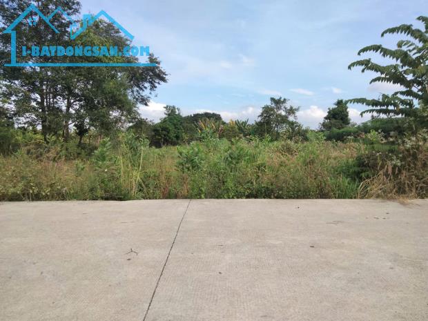 Bất động sản tại Bà Rịa - Vũng Tàu - ảnh 1
