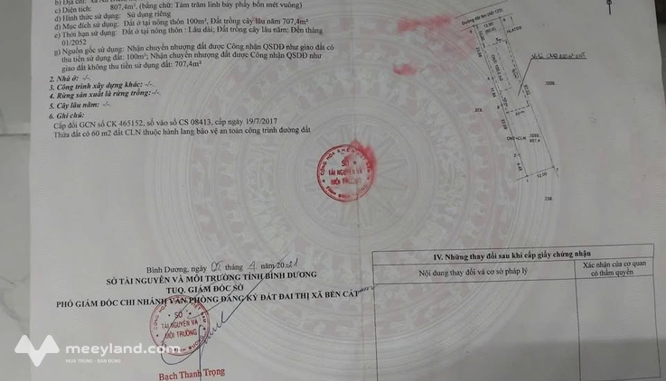 Bất động sản tại Bình Dương - ảnh 1