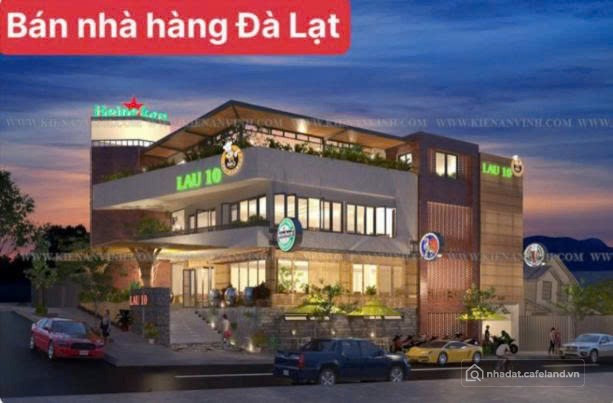 Bất động sản tại Lâm Đồng - ảnh 1