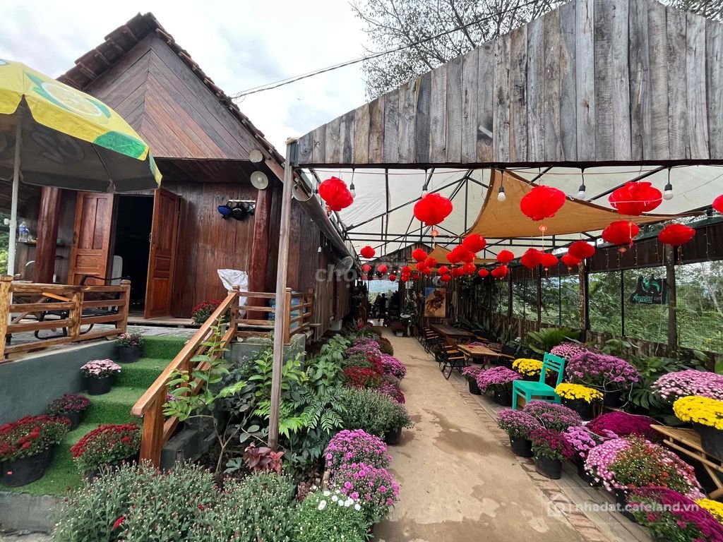 Bất động sản tại Đắk Lắk - ảnh 1