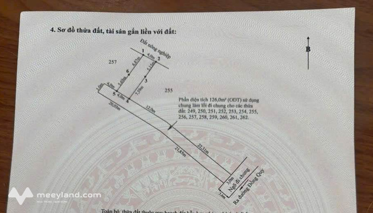 Bất động sản tại Hải Phòng - ảnh 1