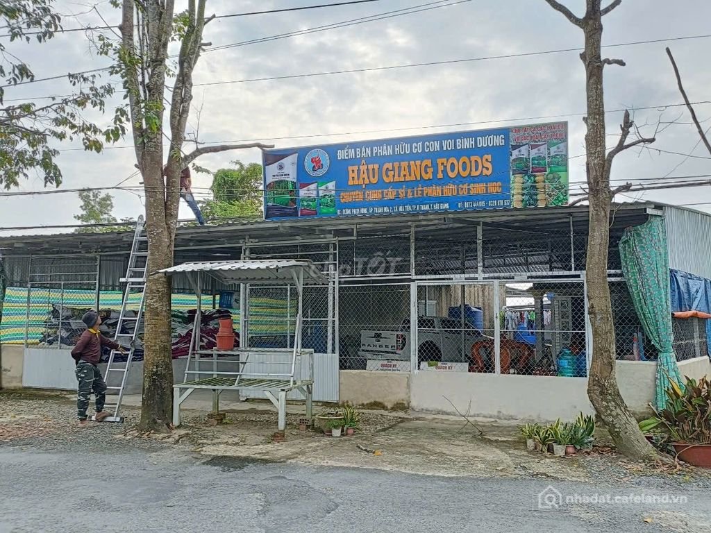 Bất động sản tại Cần Thơ - ảnh 1