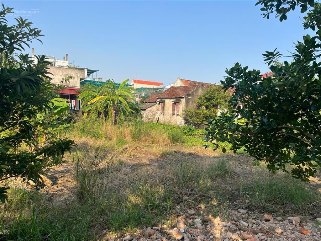 Bất động sản tại Nam Định - ảnh 1