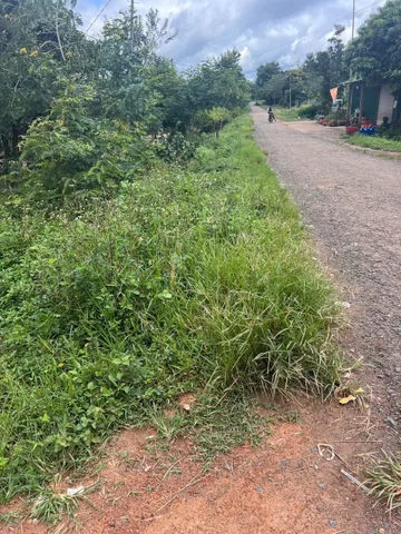 Bất động sản tại Đắk Lắk - ảnh 1