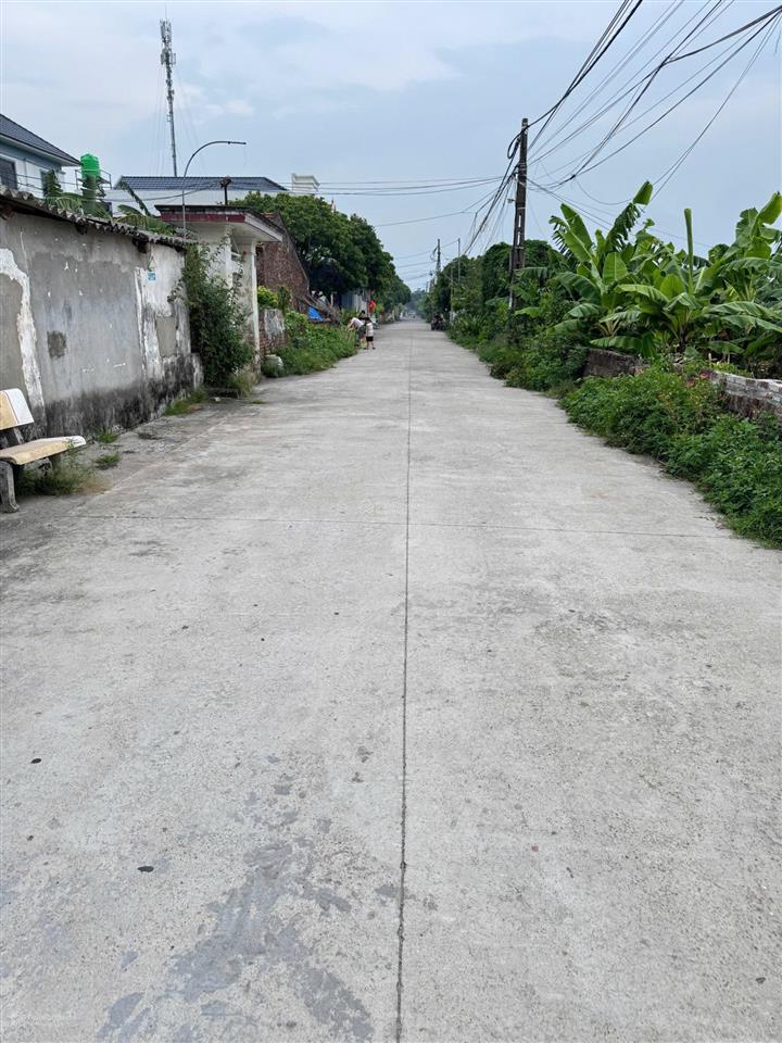 Bất động sản tại Hưng Yên - ảnh 1