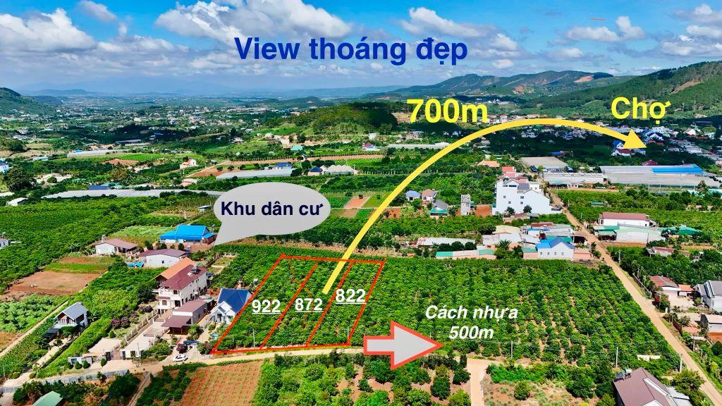 Bất động sản tại Lâm Đồng - ảnh 1
